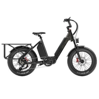 Bezior X500 MAX Electric Cargo Bike 220km Range