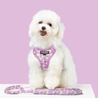 DOGNESS Harness Dog Leash Sets