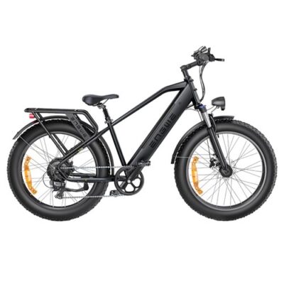 ENGWE E26 Electric Bike Step-over 48V 16AH 250W Motor 25km/h Grey