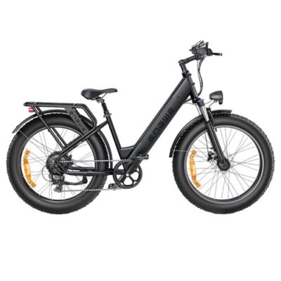 ENGWE E26 Electric Bike Step-thru 48V 16AH 250W Motor 25km/h Grey