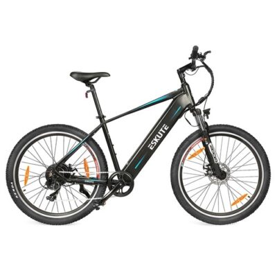 ESKUTE Netuno Electric Bicycle 250W Rear-hub Motor