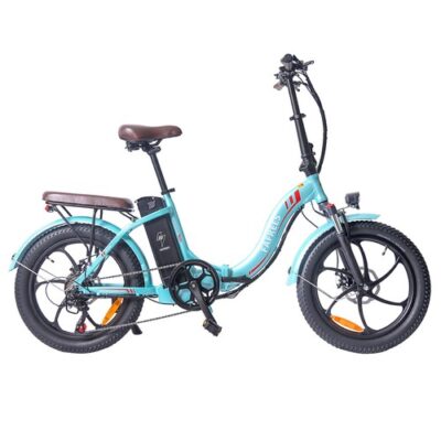 Fafrees F20 Pro Electric Bike 20 Inch 25Km/h 36V 18AH 250W - Blue