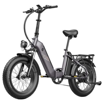 Fafrees FF20 Polar E-Bike 40Km/h 500W 48V 10.4AH Dual Battery Grey