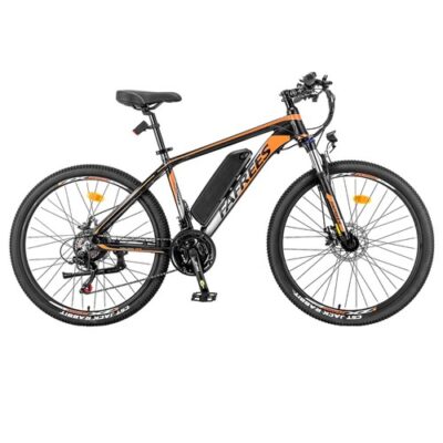 Fafrees Hailong One Electric Bike 250W/13Ah Black