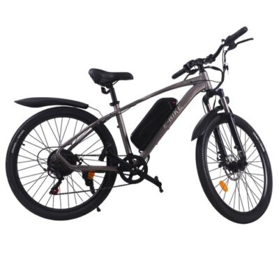 H1-P Electric Bike 500W 13AH Silver