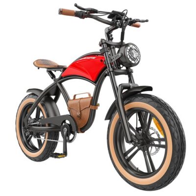 Hidoes B10 Electric Bike 1000W 48V 13Ah