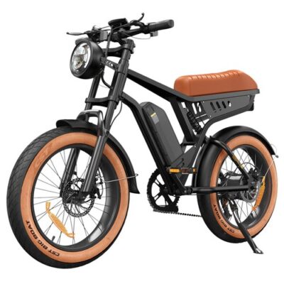 isinwheel R6 Electric Bike 250W 48V 13Ah