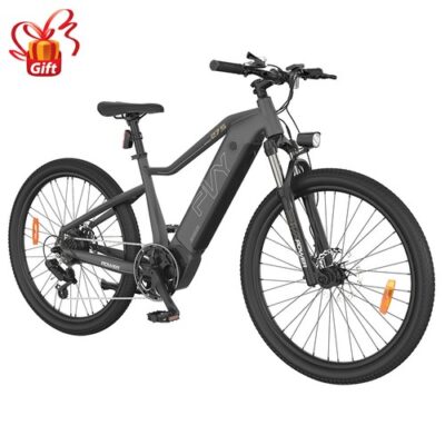 PVY Power Electric Bike 1000W Motor 16.5Ah 100km Range