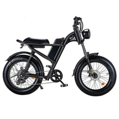 Riding' times Z8 Electric Bike 20 Inch 28MPH Speed 48V 15Ah 500W Motor