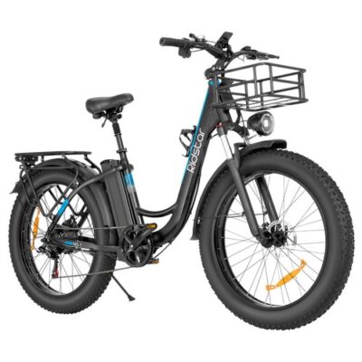 Ridstar MN26 Electric Bike 750W Motor