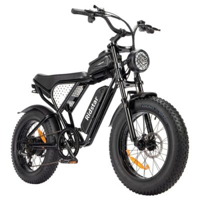 Ridstar Q20 Mini Electric Bike