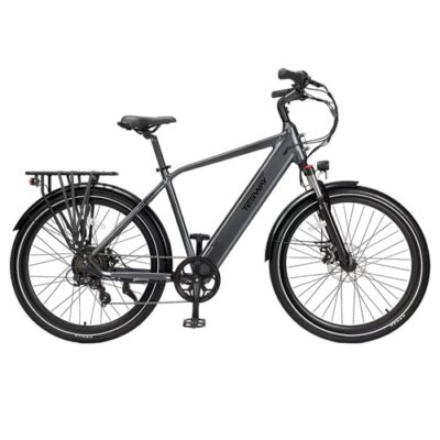 TESWAY Electric Bike 250W 12AH Grey