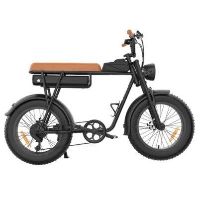 YAMALI FXH-006 Electric Bike 350W 18AH Brown